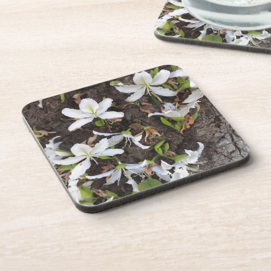 木の花 コースター (左側)