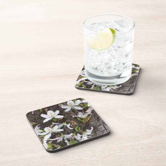 木の花 コースター (右側)