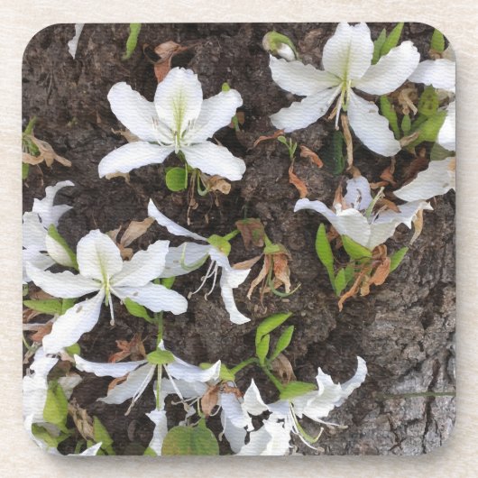 木の花 コースター (正面)