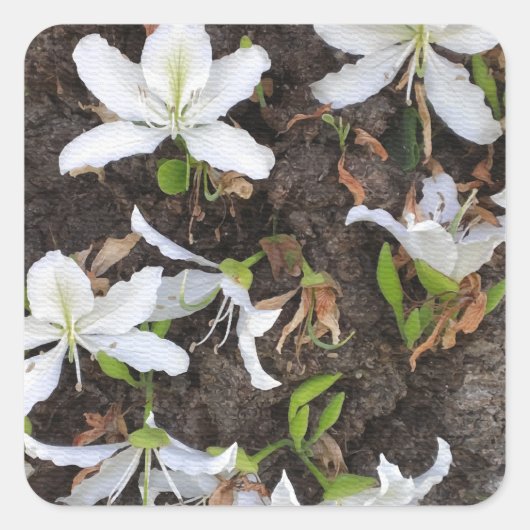 木の花 スクエアシール (正面)