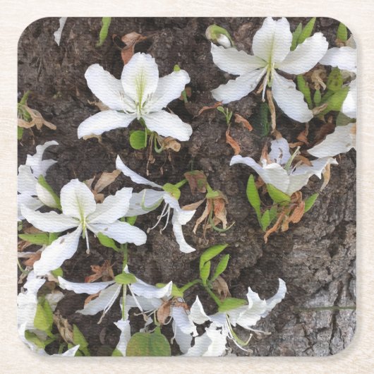 木の花 スクエアペーパーコースター (正面)