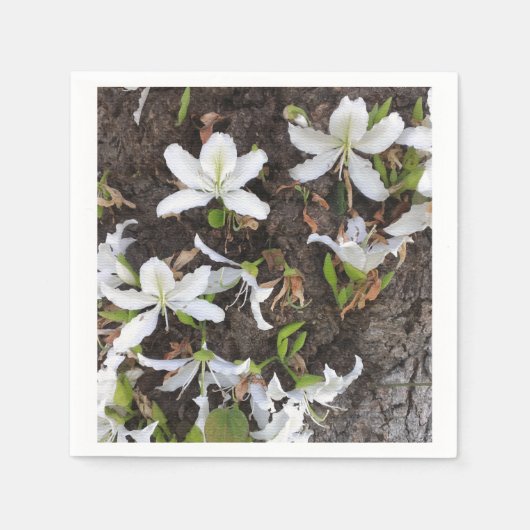 木の花 スタンダードカクテルナプキン (正面)