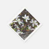 木の花 スタンダードカクテルナプキン (角)