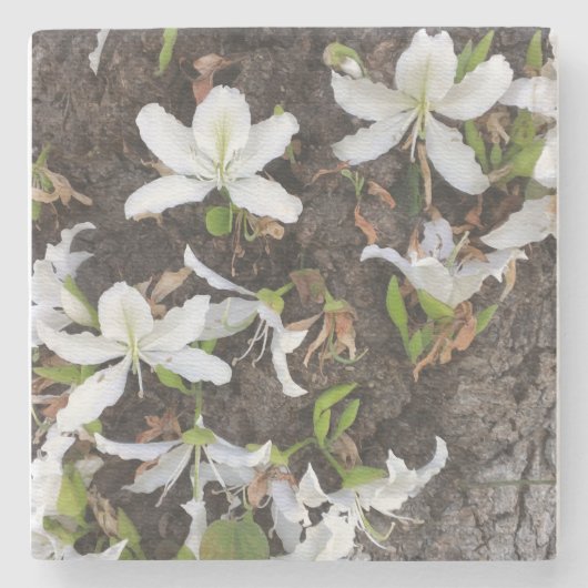 木の花 ストーンコースター (正面)