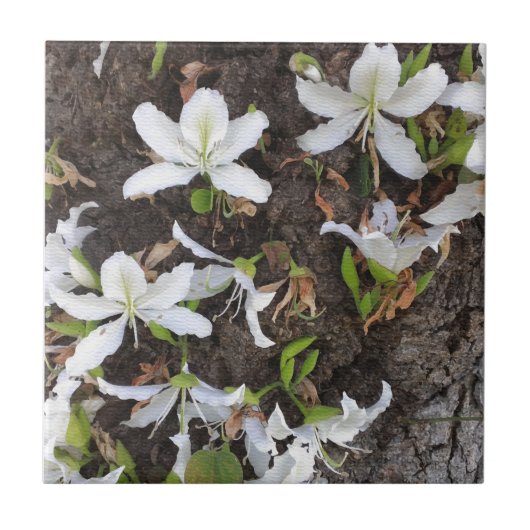 木の花 タイル (正面)