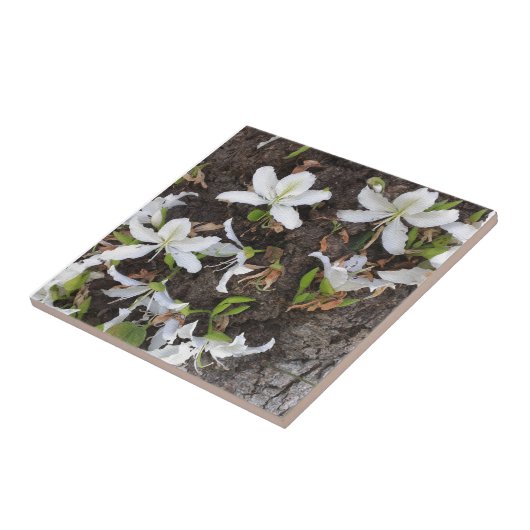 木の花 タイル (側面)