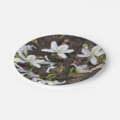 木の花 ペーパープレート (アングル)