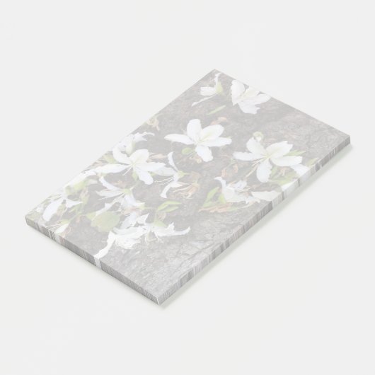 木の花 ポストイット (アングル)