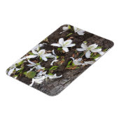 木の花 マグネット (左側)