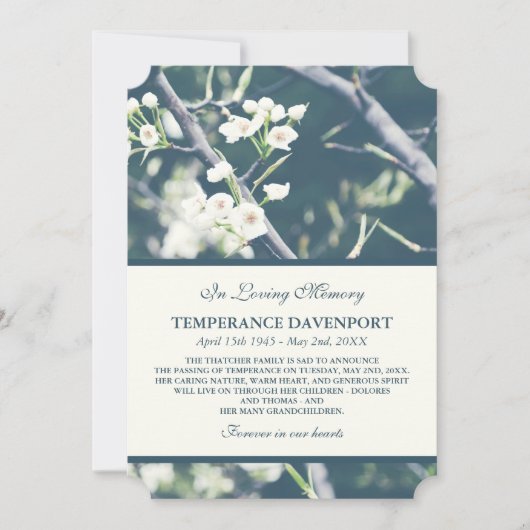 木の花 |春メモリアル発表 案内状 (正面)