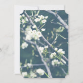 木の花 |春メモリアル発表 案内状 (裏面)