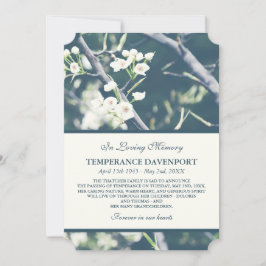 木の花 |春メモリアル発表 案内状