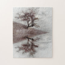 木の芸術の写真撮影