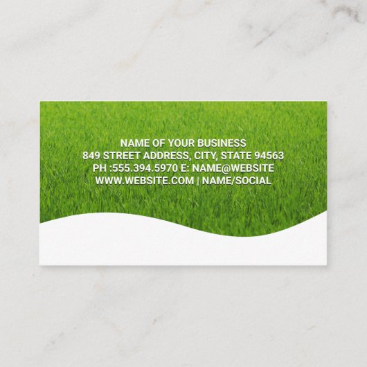 木の苗木 | Grass Field 名刺 (裏面)