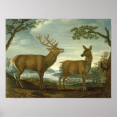 木の茂った風景の中で牡鹿と後鹿 ポスター (正面)