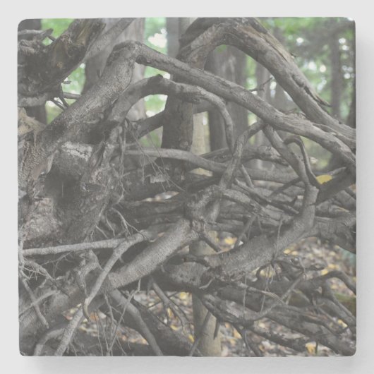 木の落ちた愛 ストーンコースター (正面)