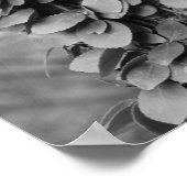 木の葉のつる植物黒白自然 ポスター (角)