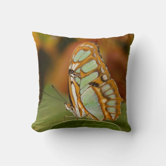 木の葉のマラカイト クッション (正面)