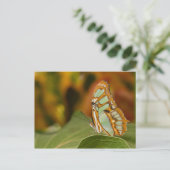 木の葉のマラカイト ポストカード (スタンド正面)