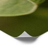 木の葉の上に浮かぶマラ色の蝶 ポスター (角)