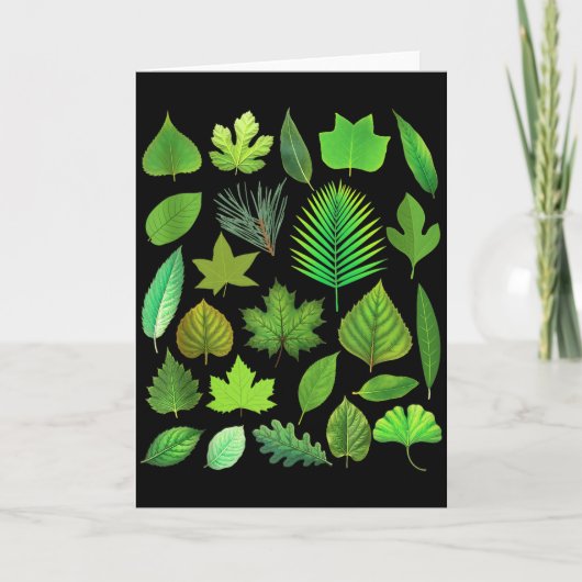 木の葉の種類 生物学 自然 教育 タンクトップ カード (正面)