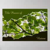 木の葉の自然の力の写真 ポスター (正面)