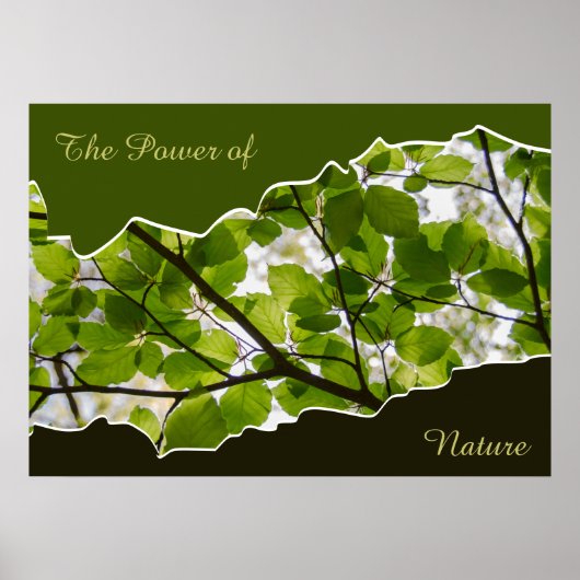 木の葉の自然の力の写真 ポスター (正面)