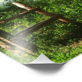 木の葉を通して フォトプリント            (角)