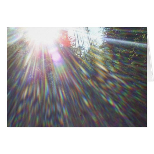 木の虹 (正面横)