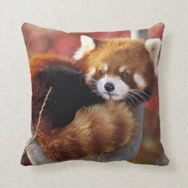 木の装飾用クッションのレッサーパンダ クッション