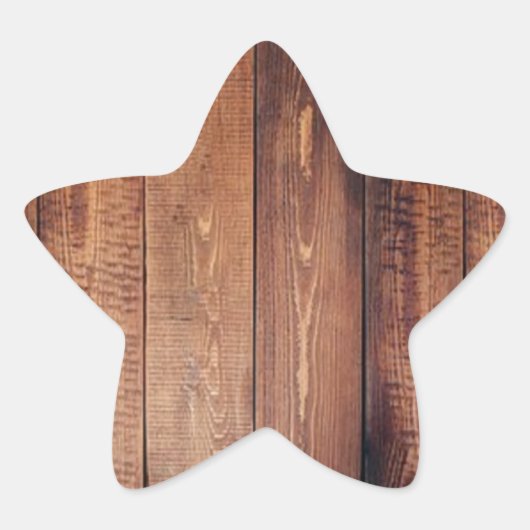 木の見実在た目 星シール (正面)