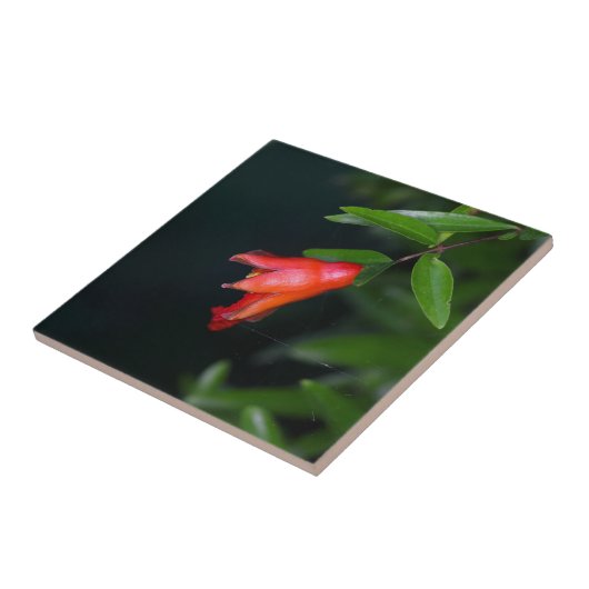 木の赤いザクロの花(ザクロ) タイル (側面)