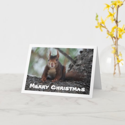 木の赤リス カード (黄色い花)