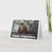 木の赤リス カード (正面)