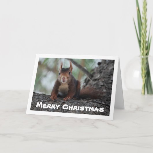 木の赤リス カード (正面)