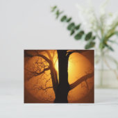 木の輝く間の秋の月 ポストカード (スタンド正面)