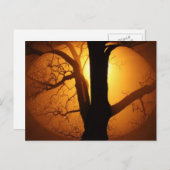 木の輝く間の秋の月 ポストカード (正面/裏面)