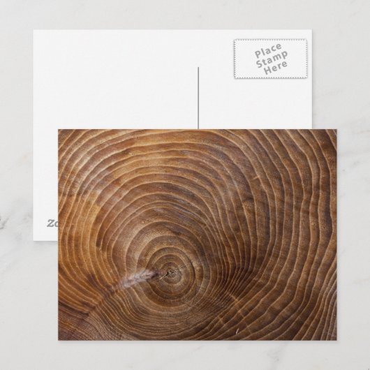 木の輪 ポストカード (正面/裏面)