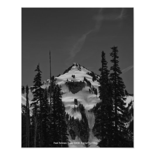 木の間のピーク フォトプリント            (正面)