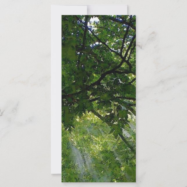 木の間の日光 (正面)