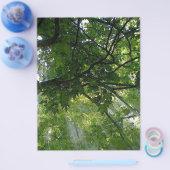 木の間の日光 チラシ (シングル)