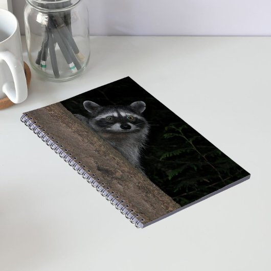 木の陰から顔を出すアライグマの自然写真 ノートブック