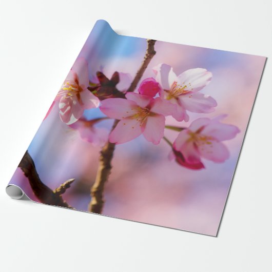 木の陰に桜の花の束 ラッピングペーパー (アンロールド)