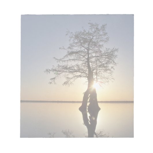 木の陰に沈む夕日 ノートパッド (正面)