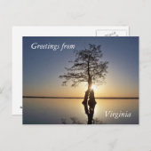 木の陰に沈む夕日 ポストカード (正面/裏面)