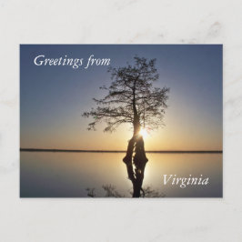 木の陰に沈む夕日 ポストカード