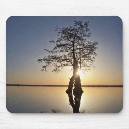 木の陰に沈む夕日 マウスパッド (正面)