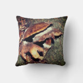 木の隙間に野生の茶色のキノコ クッション (裏面)