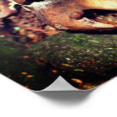 木の隙間に野生の茶色のキノコ ポスター (角)