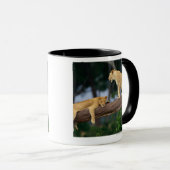 木の雌ジシ マグカップ (正面右)